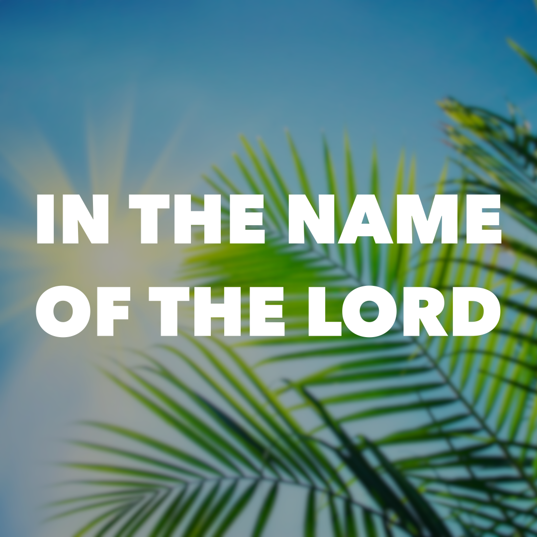 March 28 Sermon: In the Name of the Lord