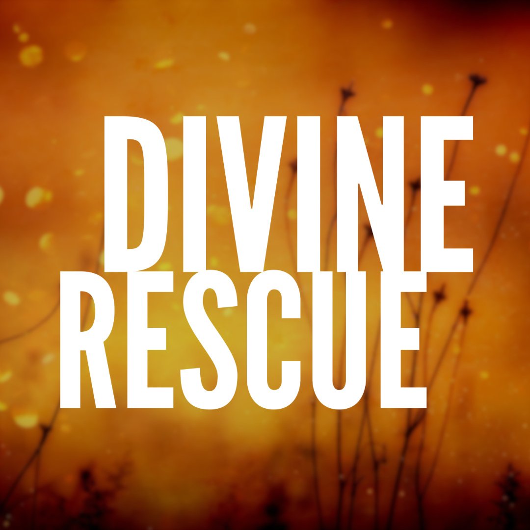 November 1 Sermon: Divine Rescue