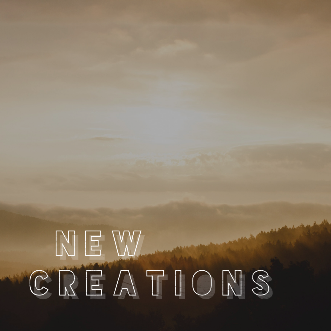 March 6 Sermon: New Creations