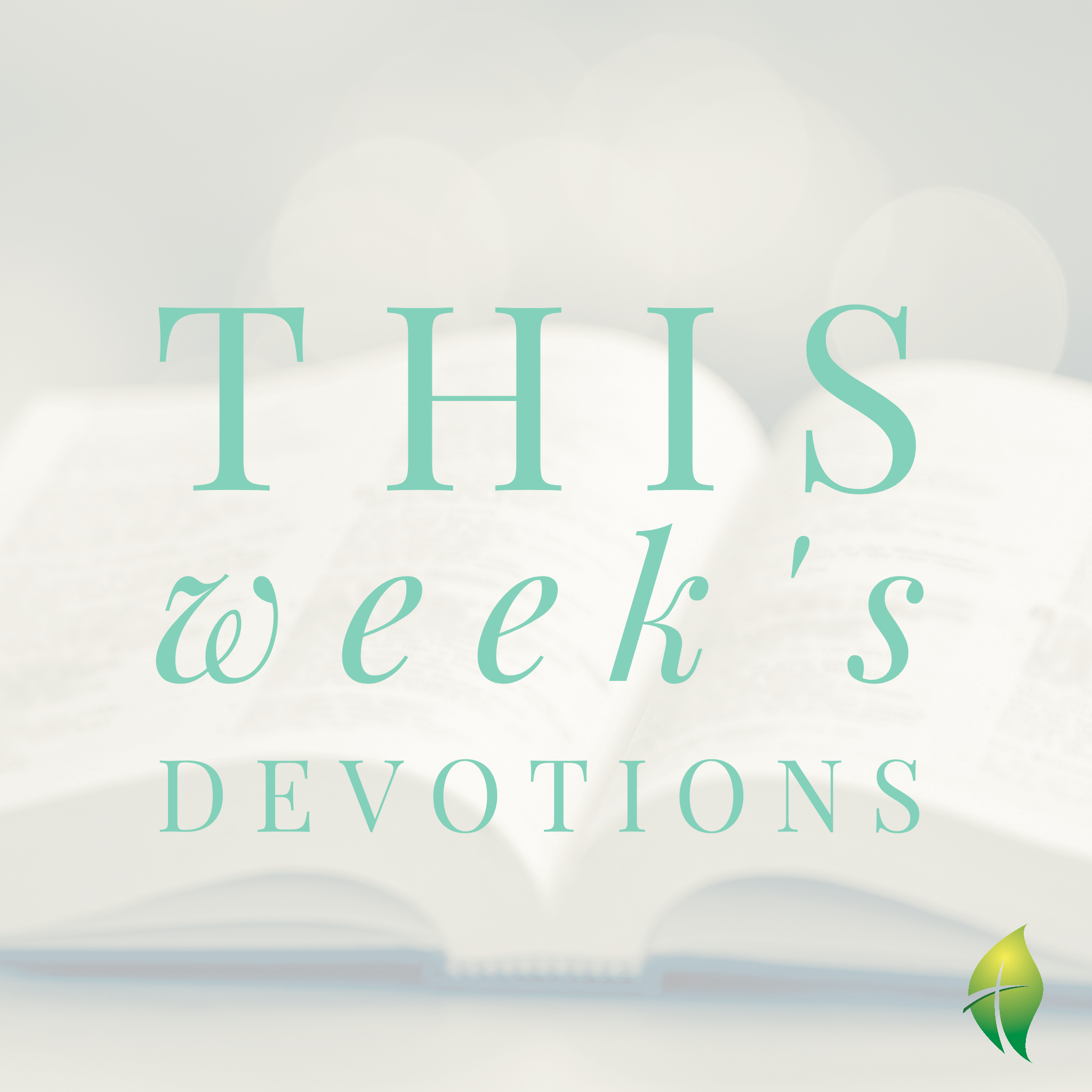 Devotions: Where Is Your Treasure?