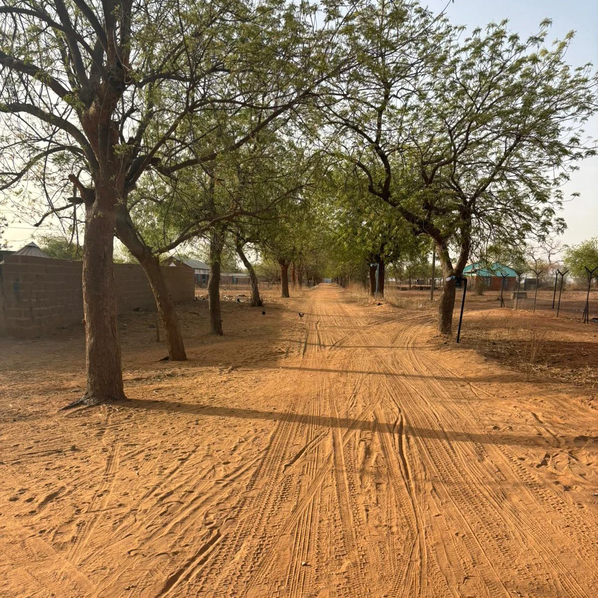 Niger Mission Trip Update #2