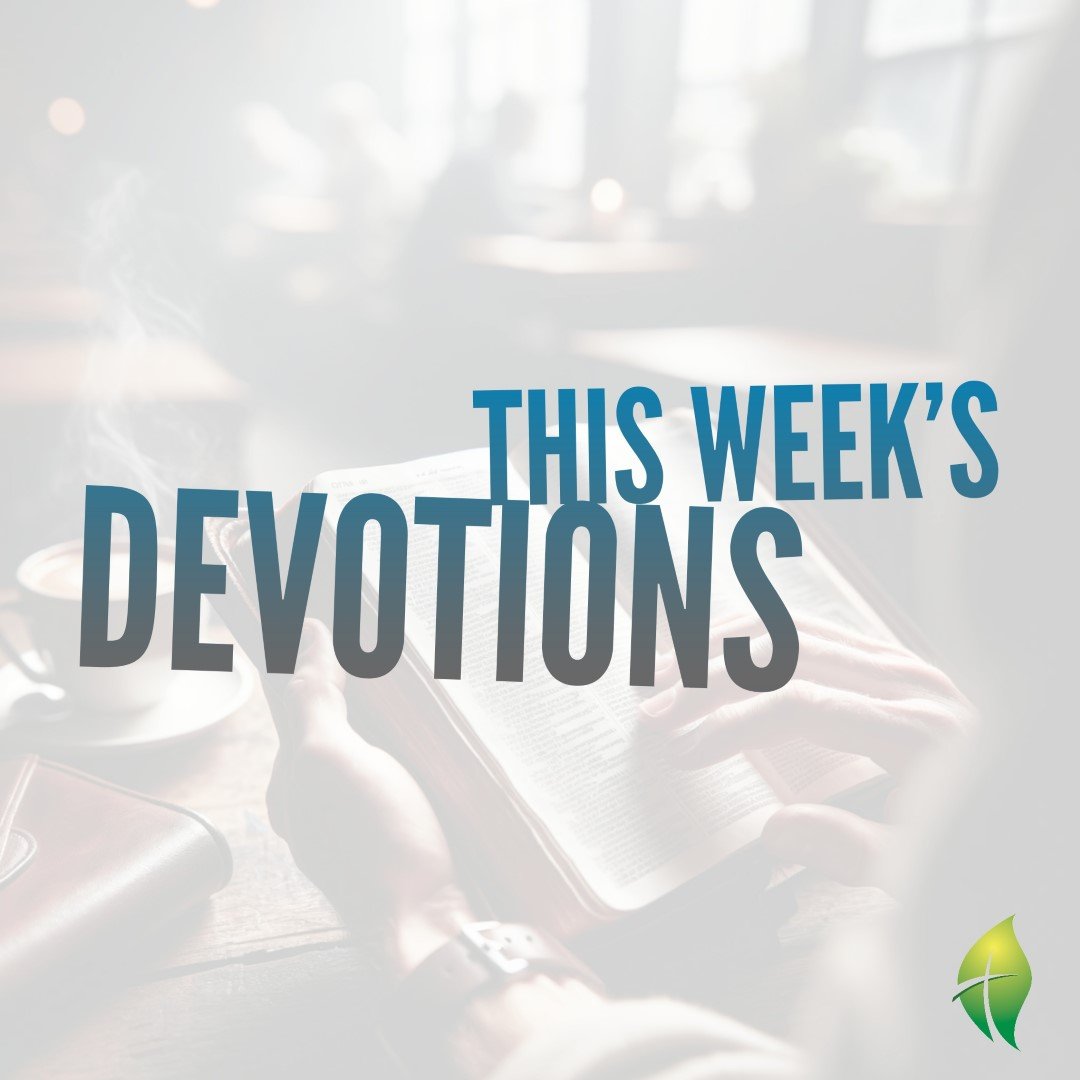 Devotions: Rich in Wealth, Poor in Spirit
