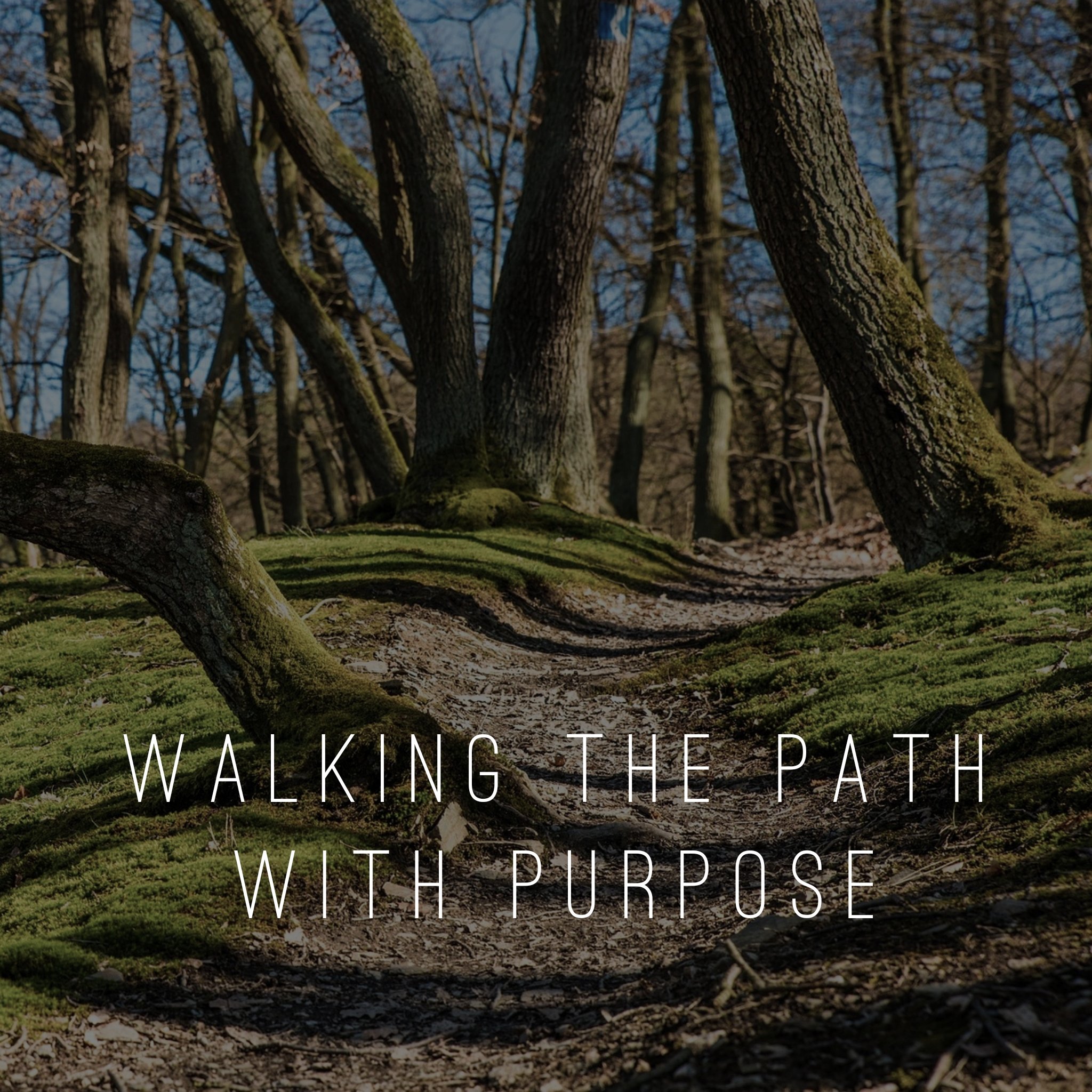 Walking the Path with Purpose