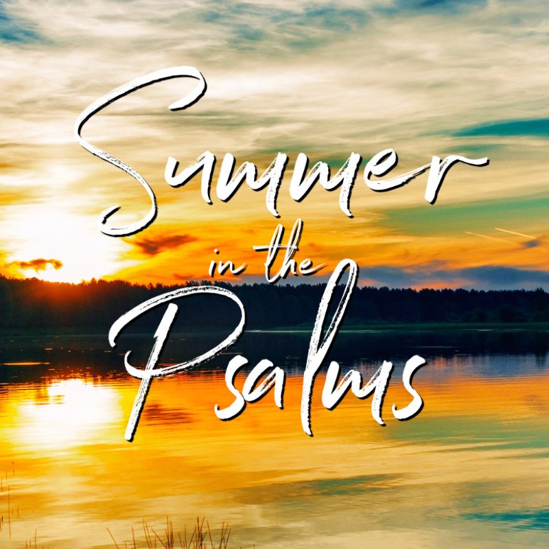 September 1 Sermon: From Suffering to Salvation