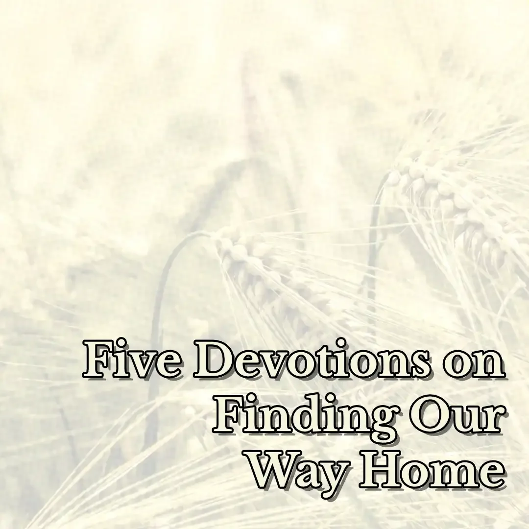Devotions | The Breadless House | Redeeming Love