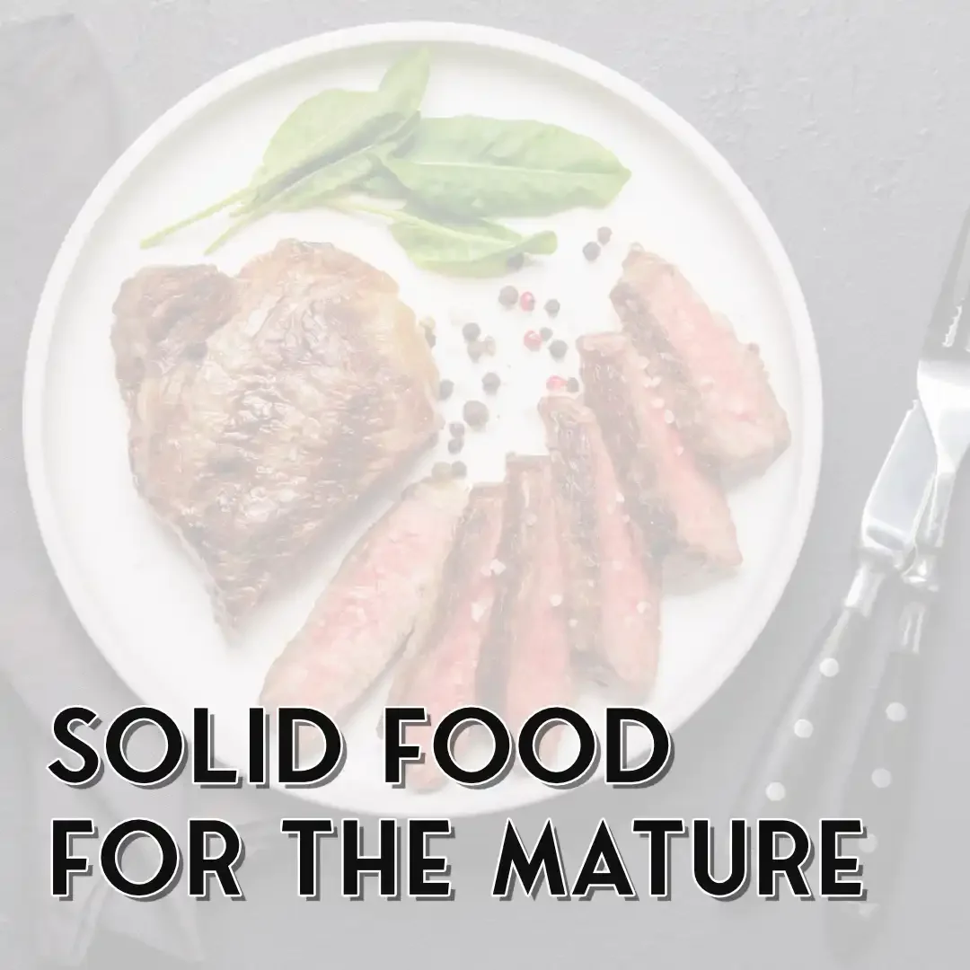 Solid Food for the Mature | Hebrews 5:11-6:12 | Once for All