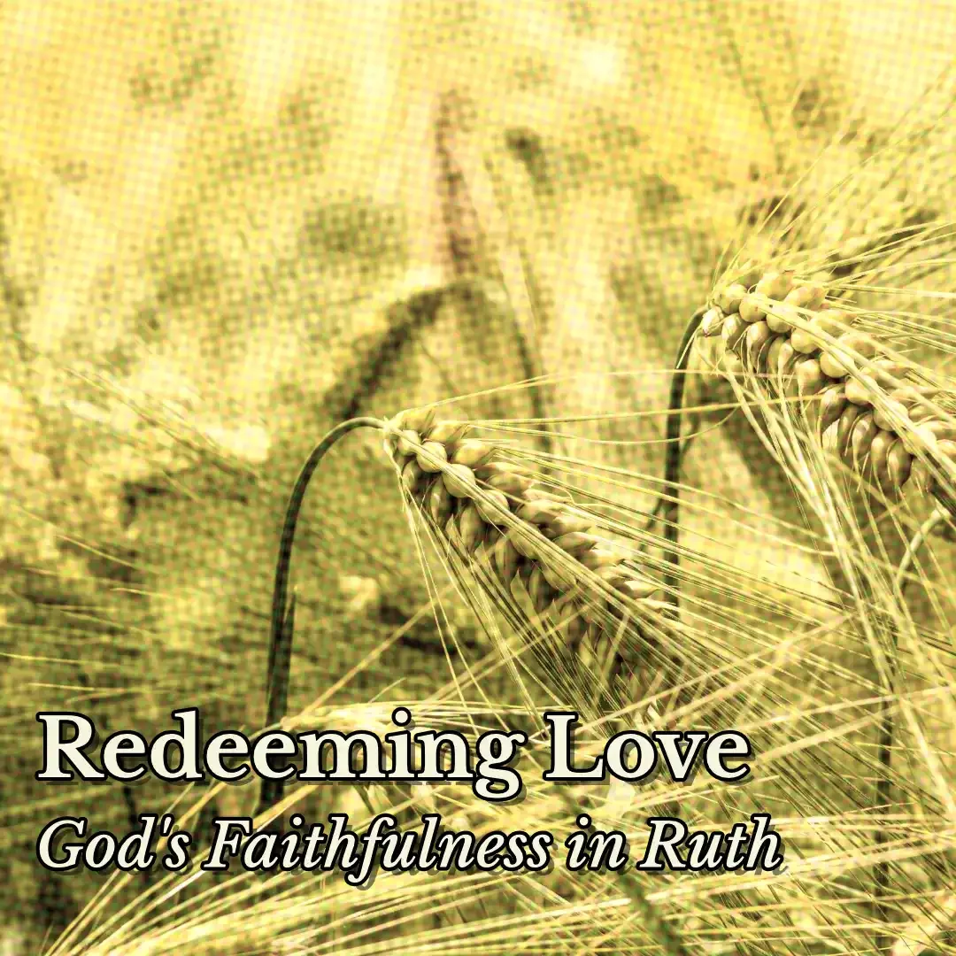 Under His Wings | Ruth 2 | Redeeming Love