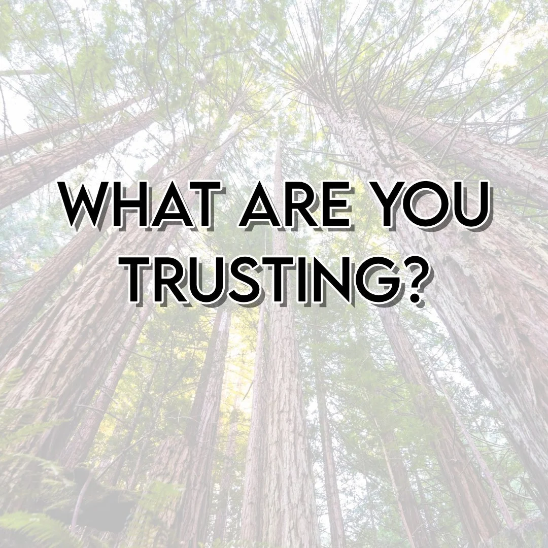 What Are You Trusting? | Psalm 52 | Dutch Festival Evening Service