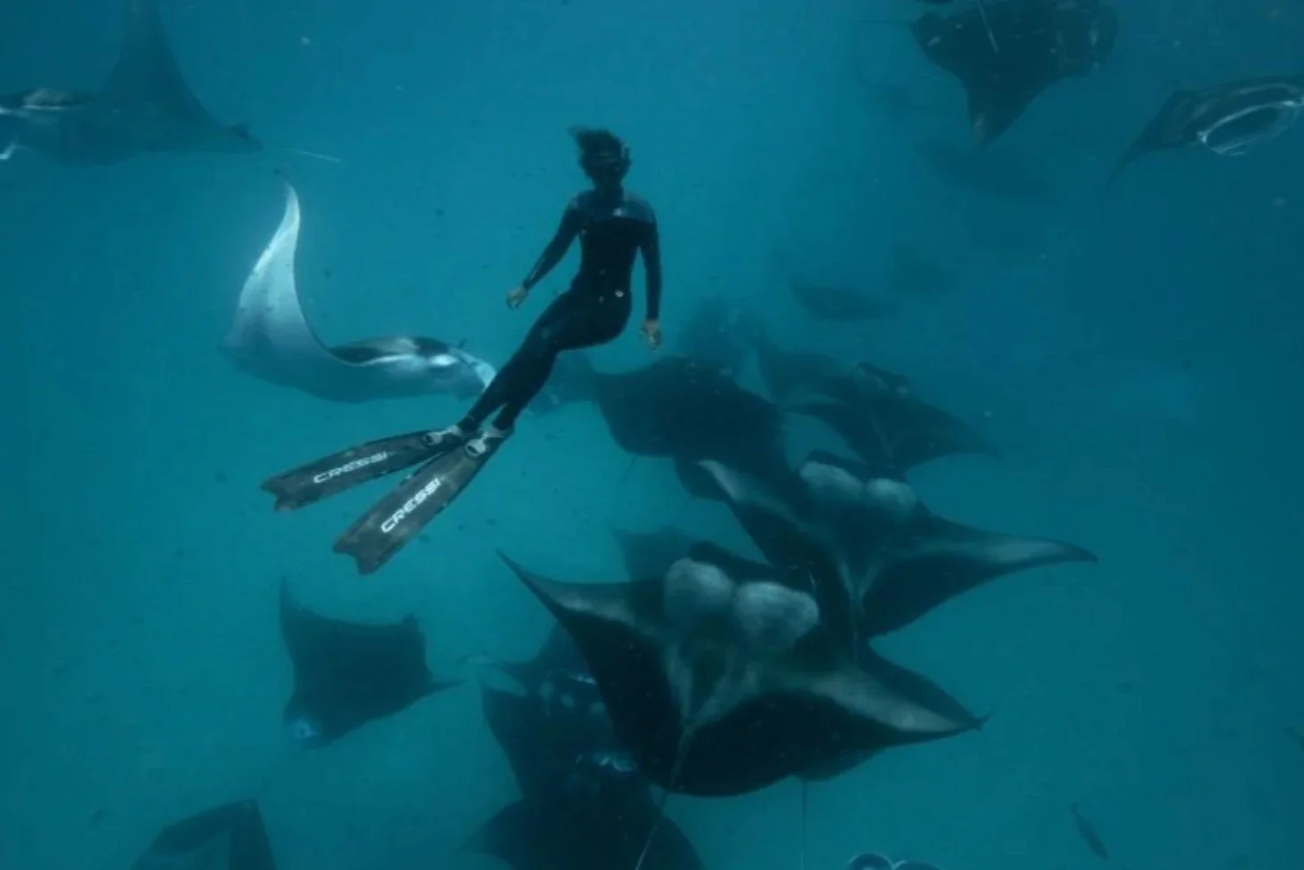 From the Desk of Dr. Diva Amon