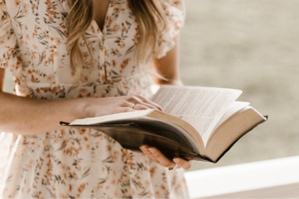 The Christmas Gift Guide 2022: Travel Books (Citizen Femme)