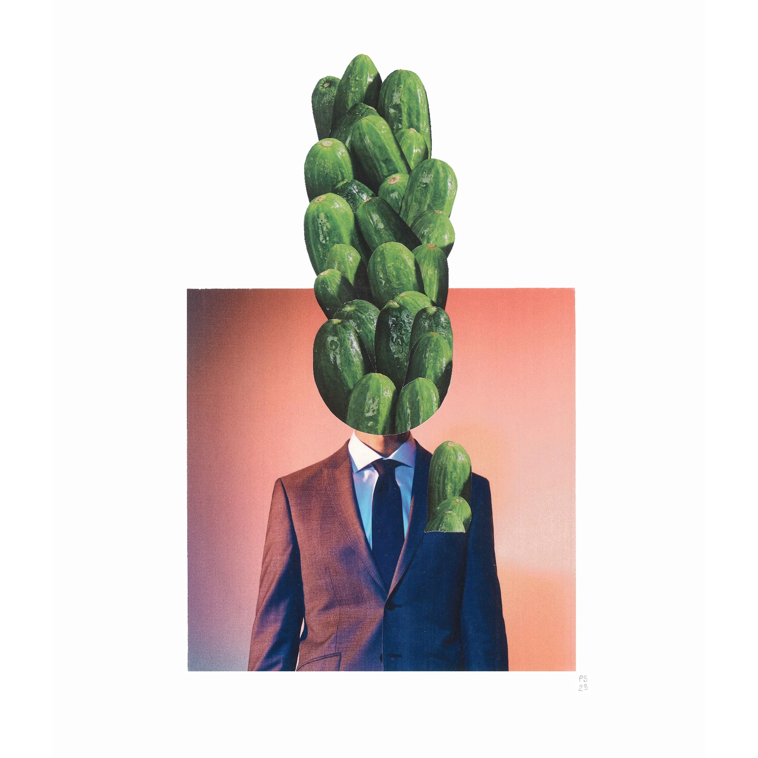 I don't give a cucumber