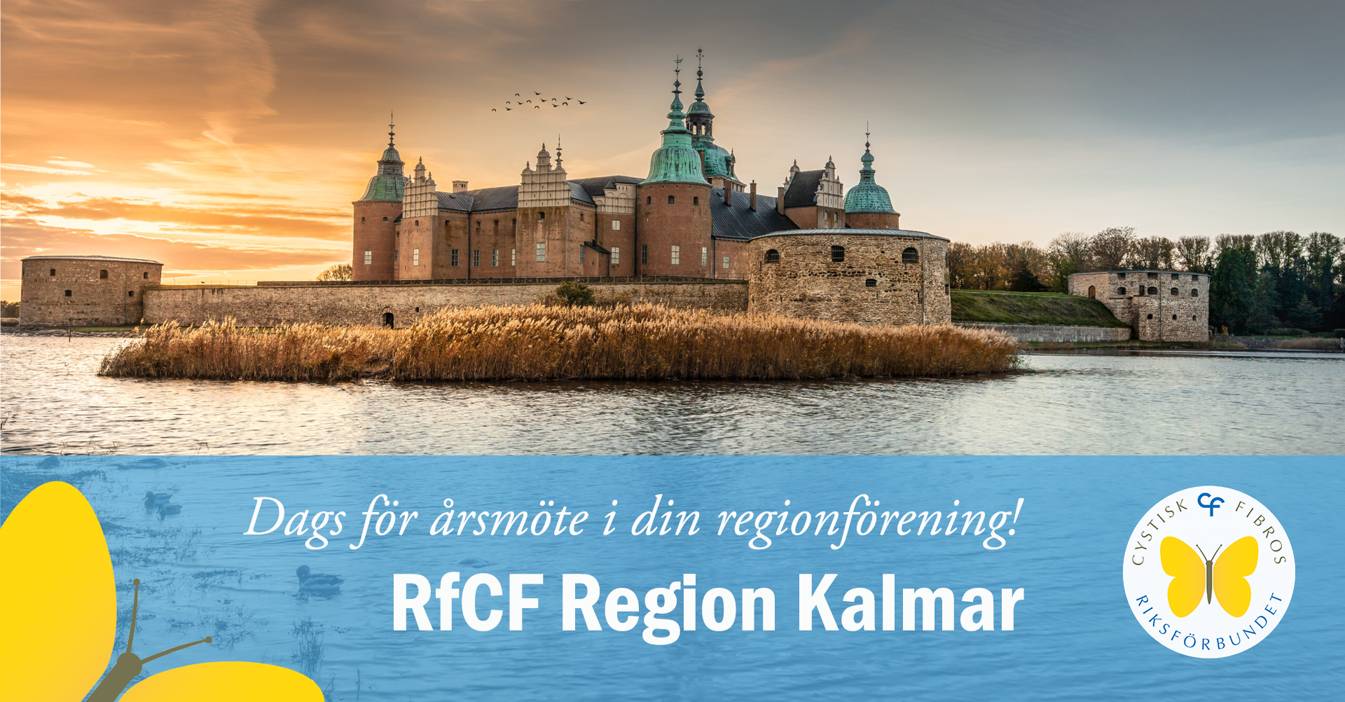 RfCF Region Kalmar bjuder in till digitalt årsmöte 19 mars