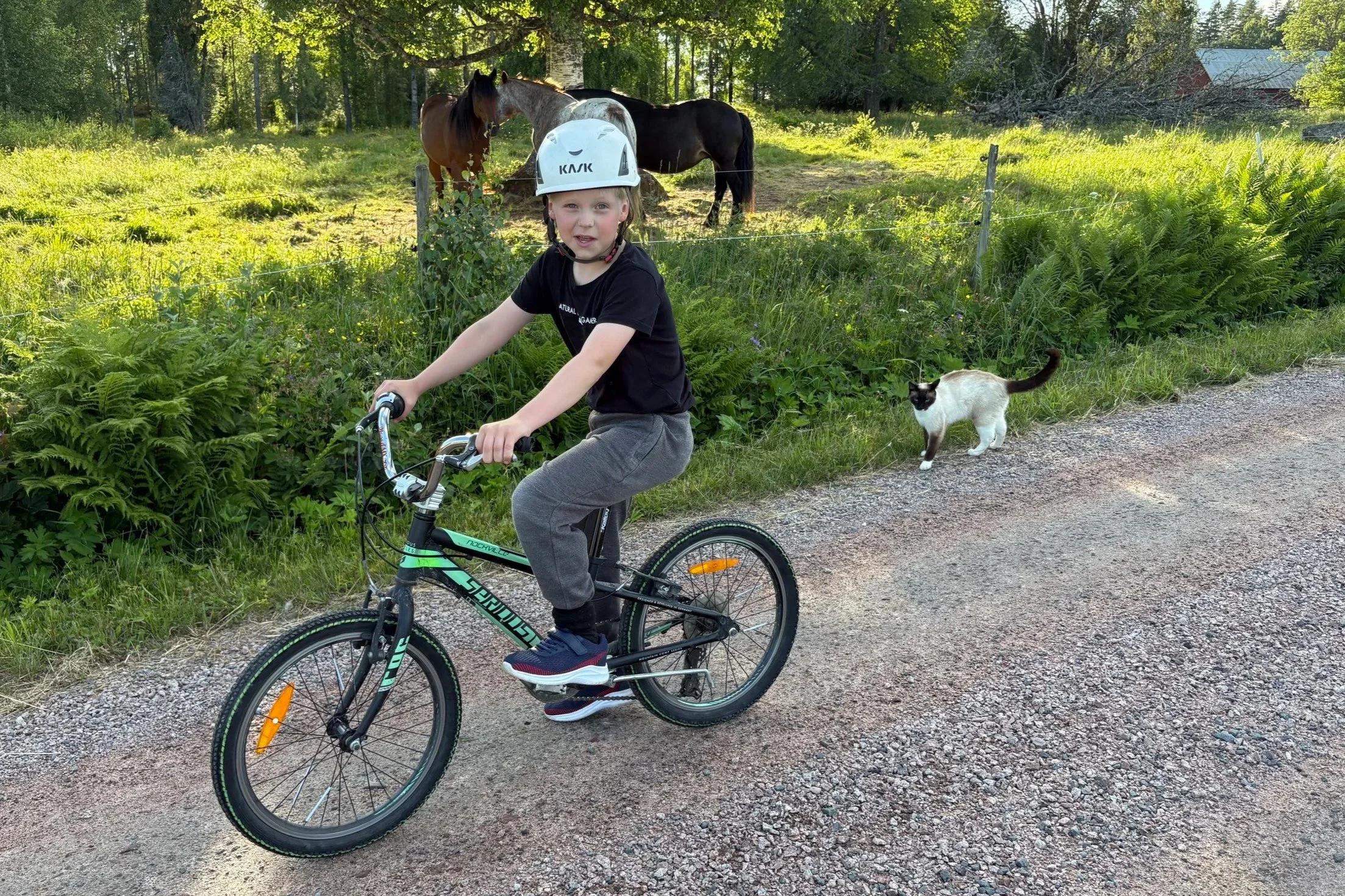 Elliott vill helst cykla