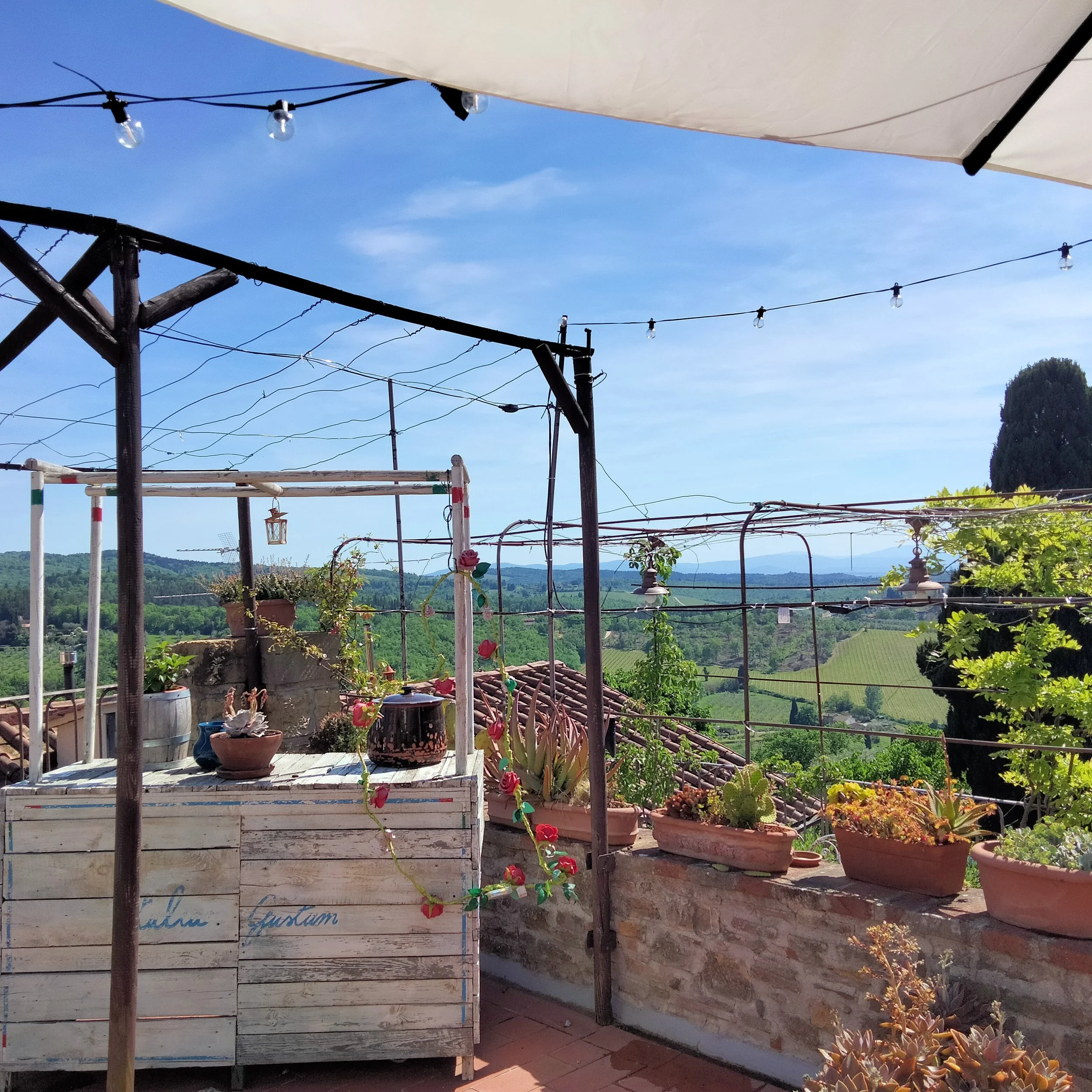 IMG20250502153340 (1).jpg