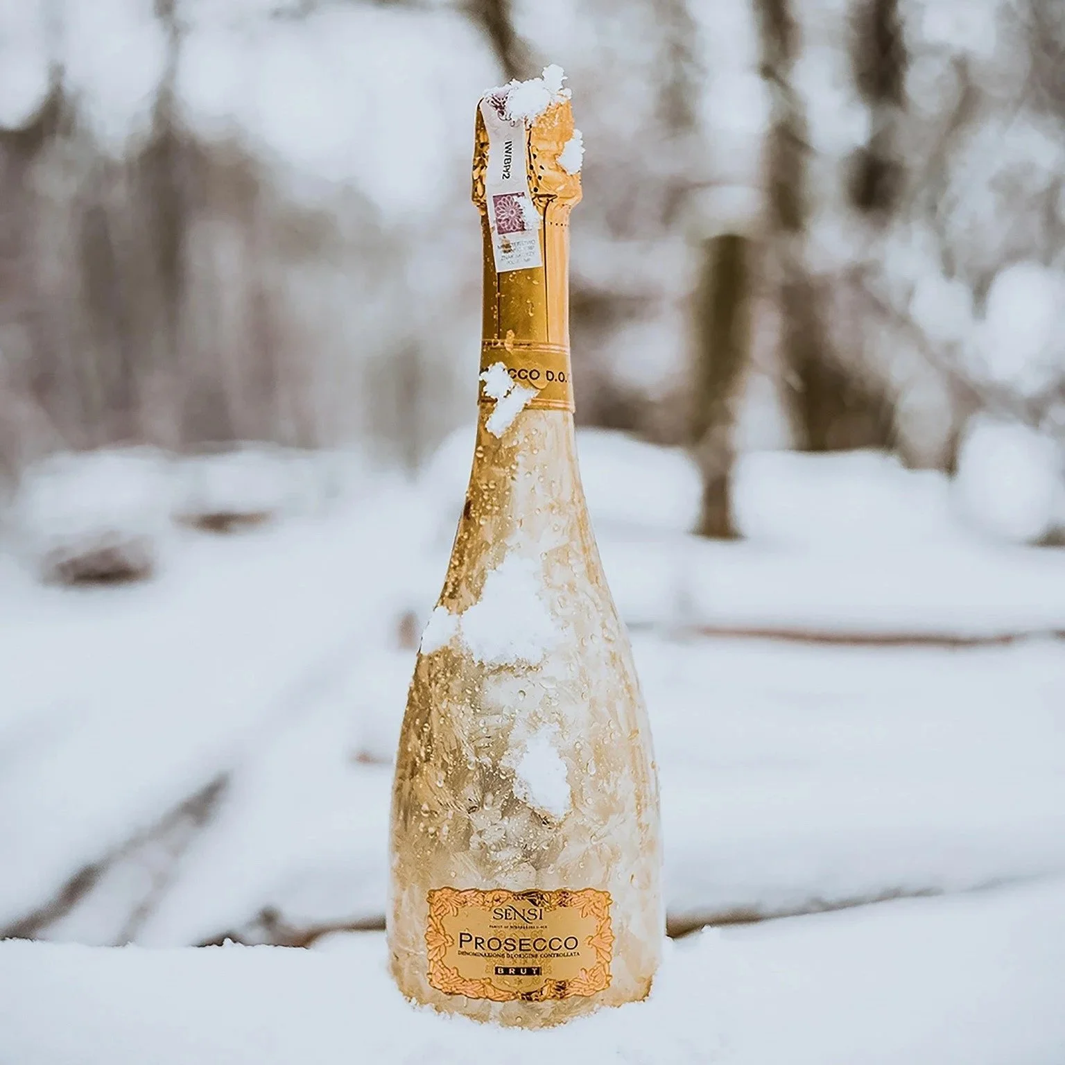 Prosecco di Valdobbiadene.