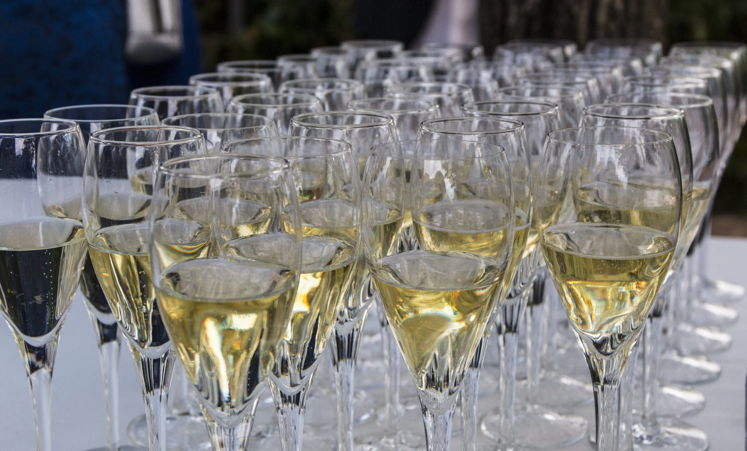 The Prosecco Wine trail