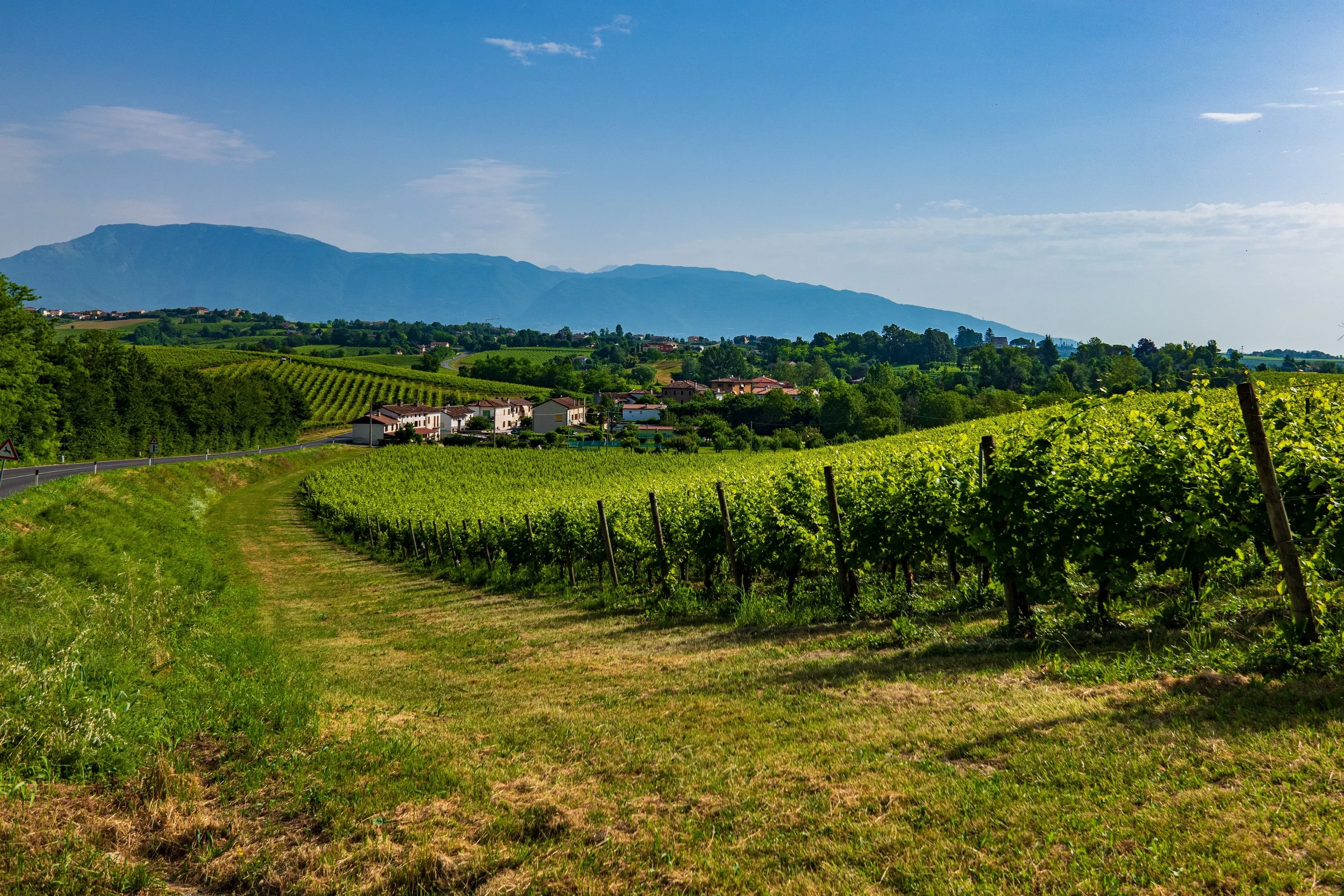 robbyfo-veneto-4275949.jpg