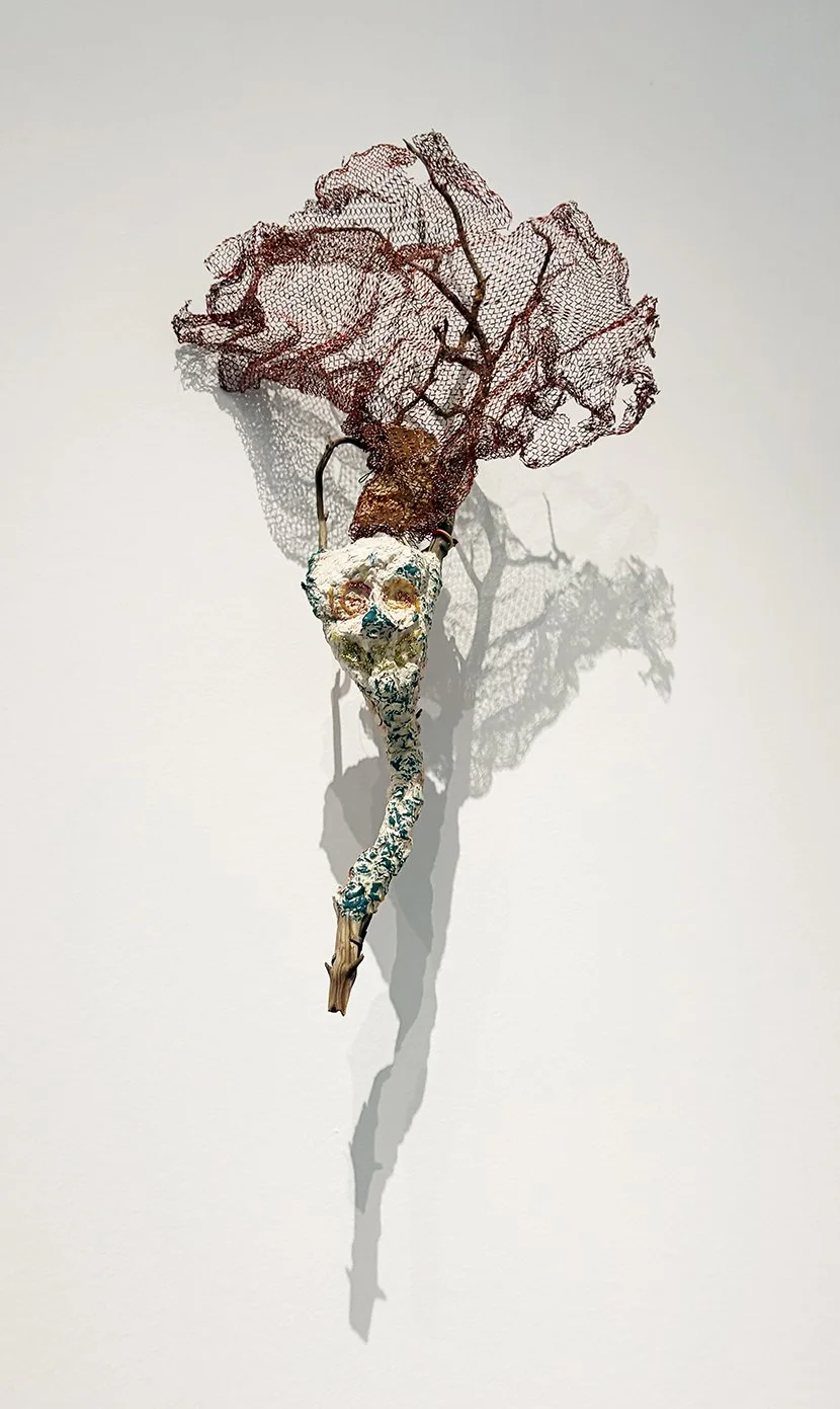 EXHIBITION | The Brockman Gallery