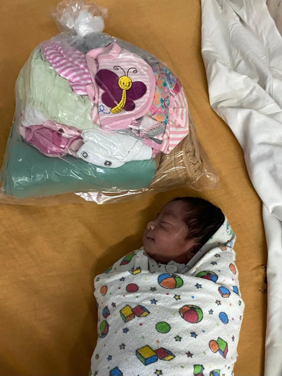 WhatsApp Image 2026-02-06 at 6.19.23 HR3.jpeg