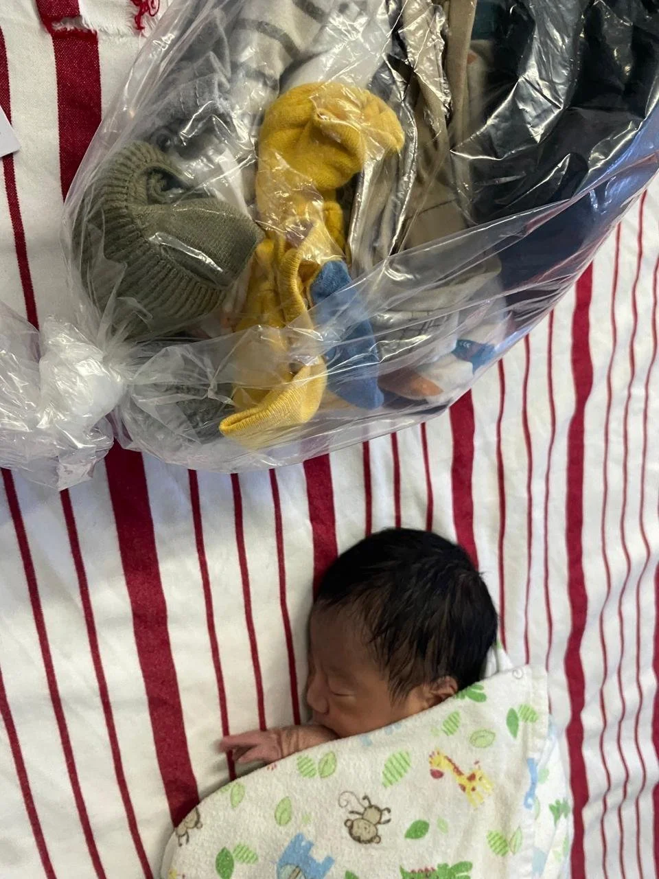 WhatsApp Image 2026-02-06 at 6.19.25 HR8.jpeg