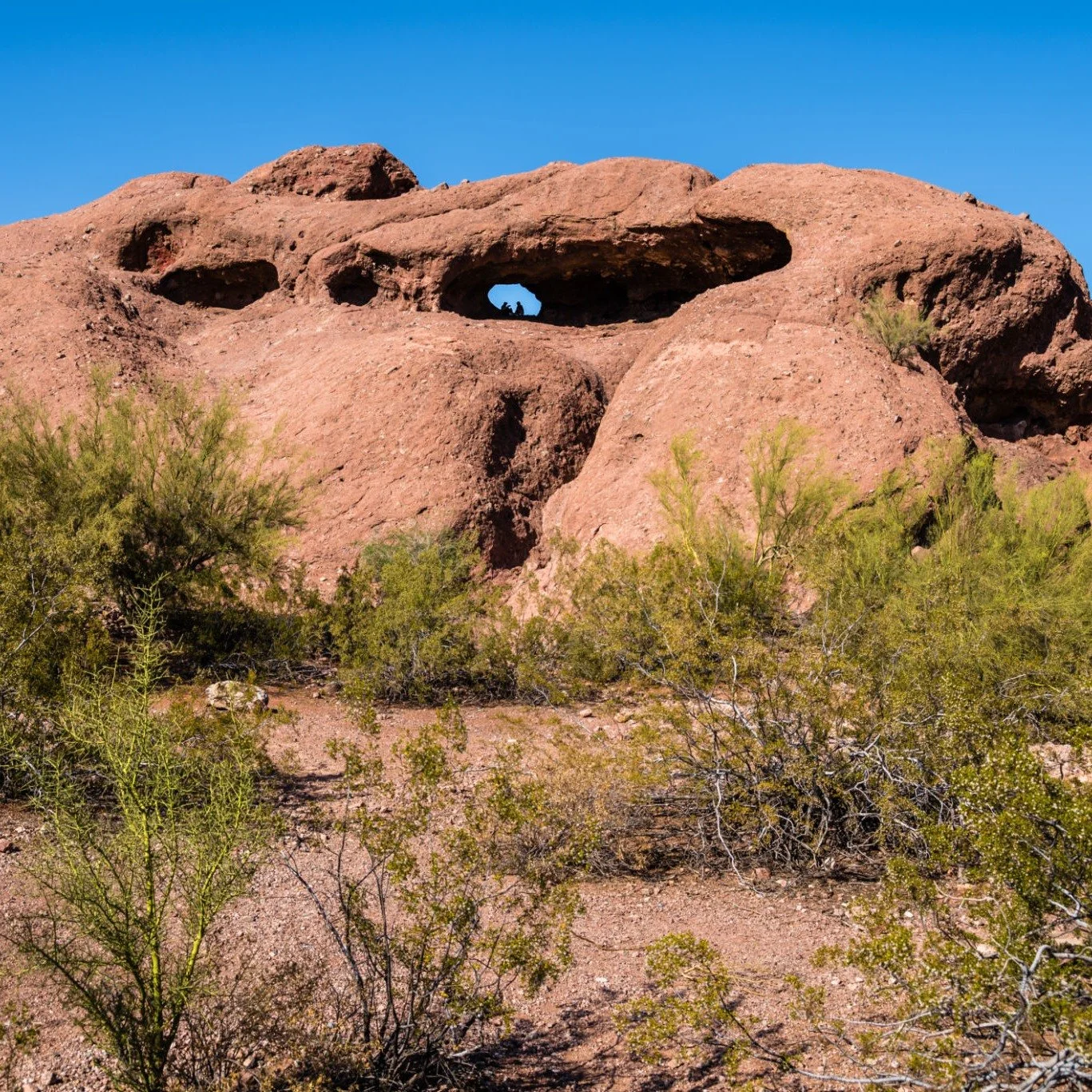 One of my favorite things about living in Arizona is that hiking season is basically winter and spring and fall!

A few local favorites when the weather is perfect:

&bull; Camelback Mountain &ndash; tough but iconic. Go early.
&bull; Piestewa Peak &