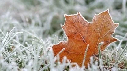 Garden Winterizing Checklist