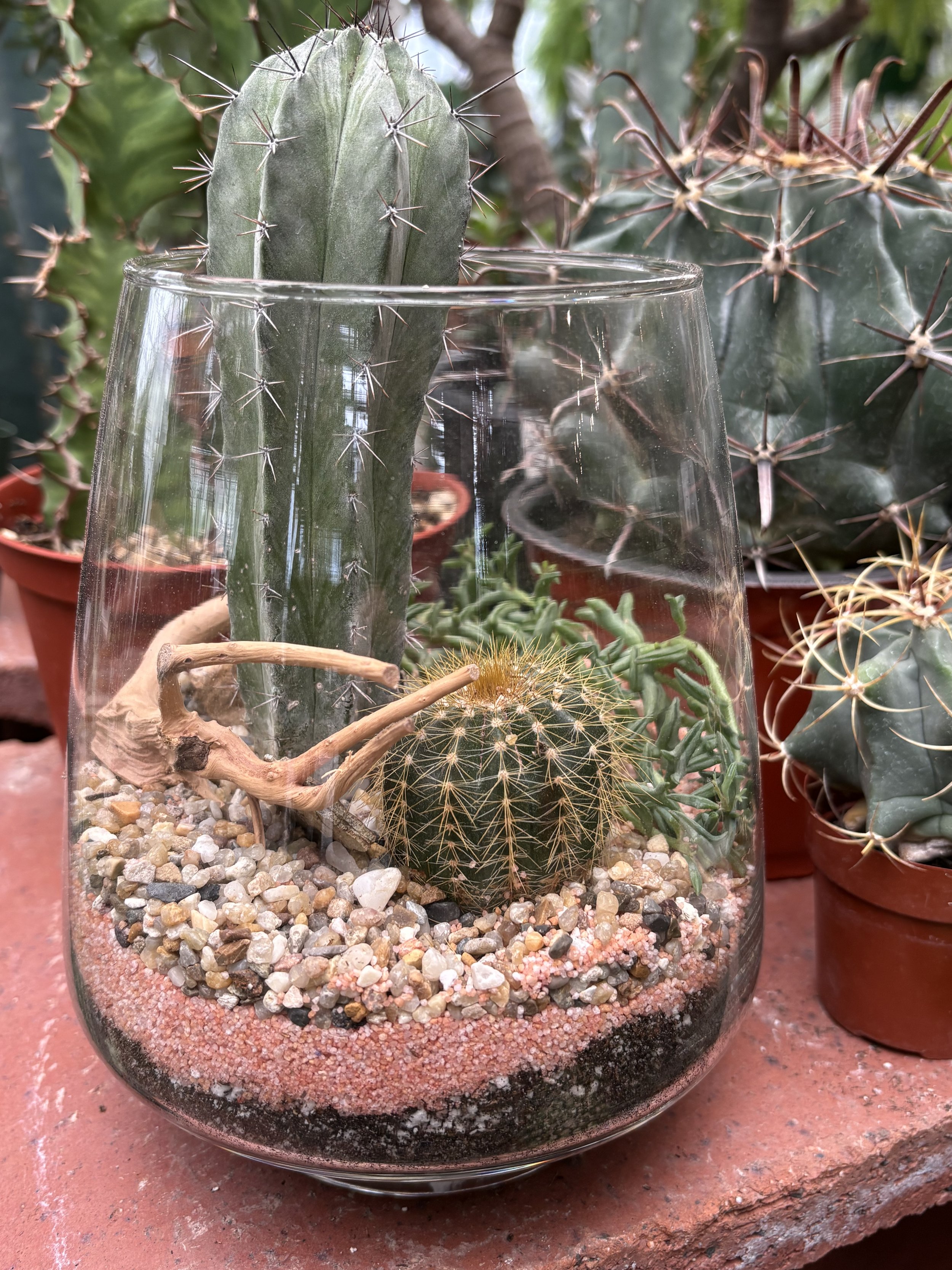 Workshop: Desert Terrariums