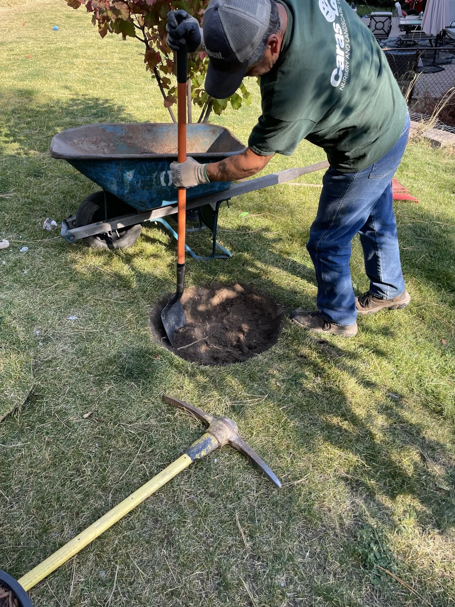 Planting for Success