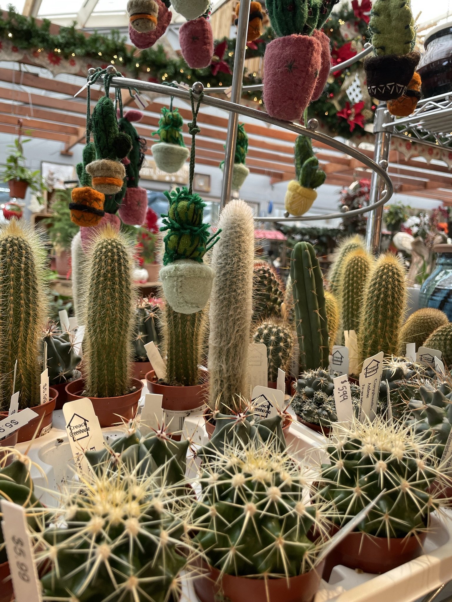 Littles_cacti_felt.jpeg