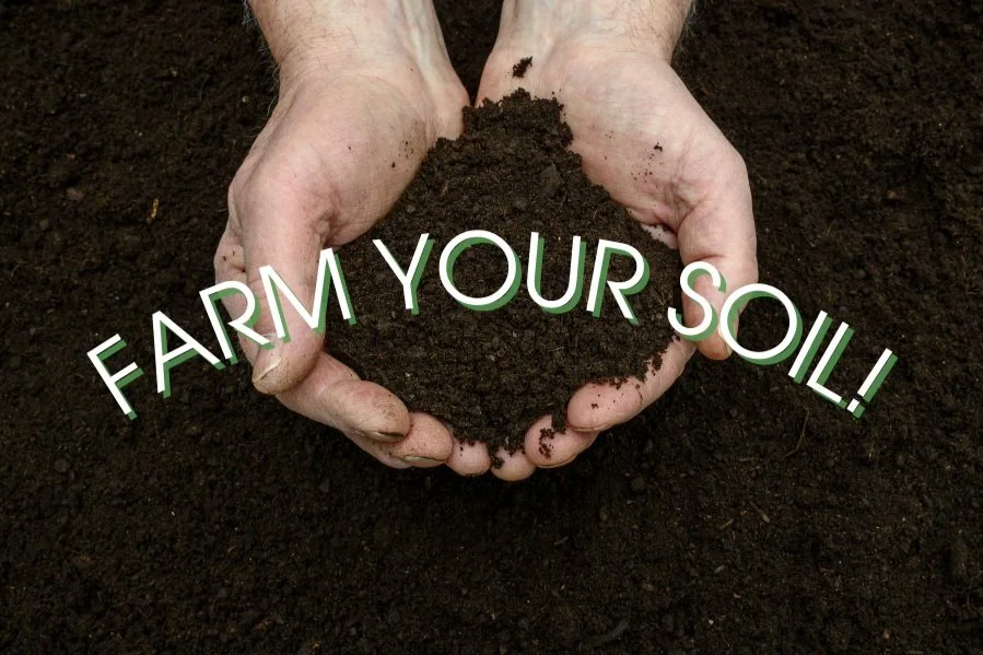 Farm Your Soil!