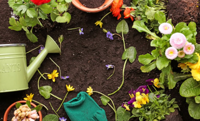 Seminar: Prepping Your Garden