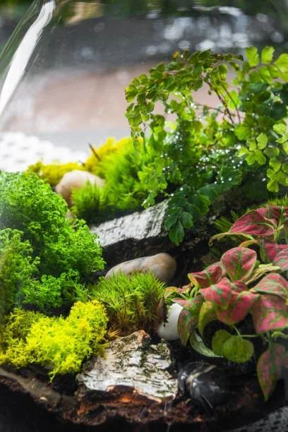 Miniature Gardens Workshop