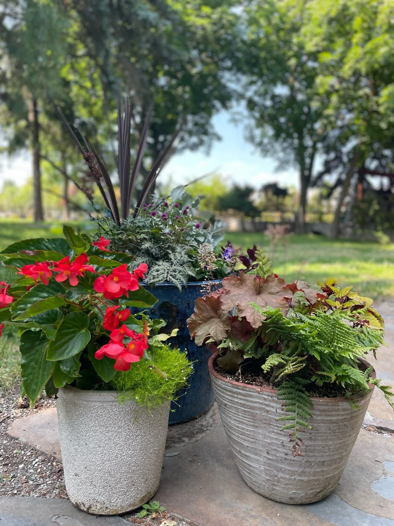 Container Planting Seminar: Rooted In Design