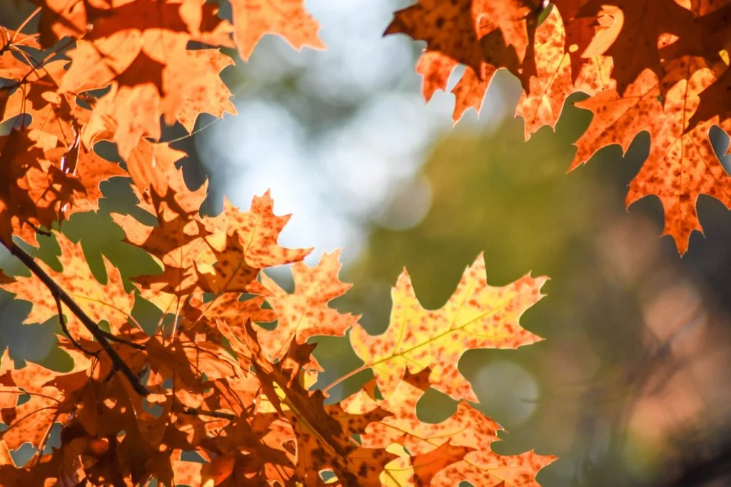 It’s that time of year again…