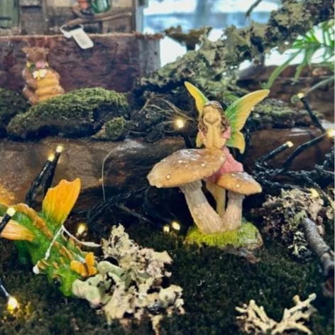 Workshop: Terrariums and Mini Fairy Gardens