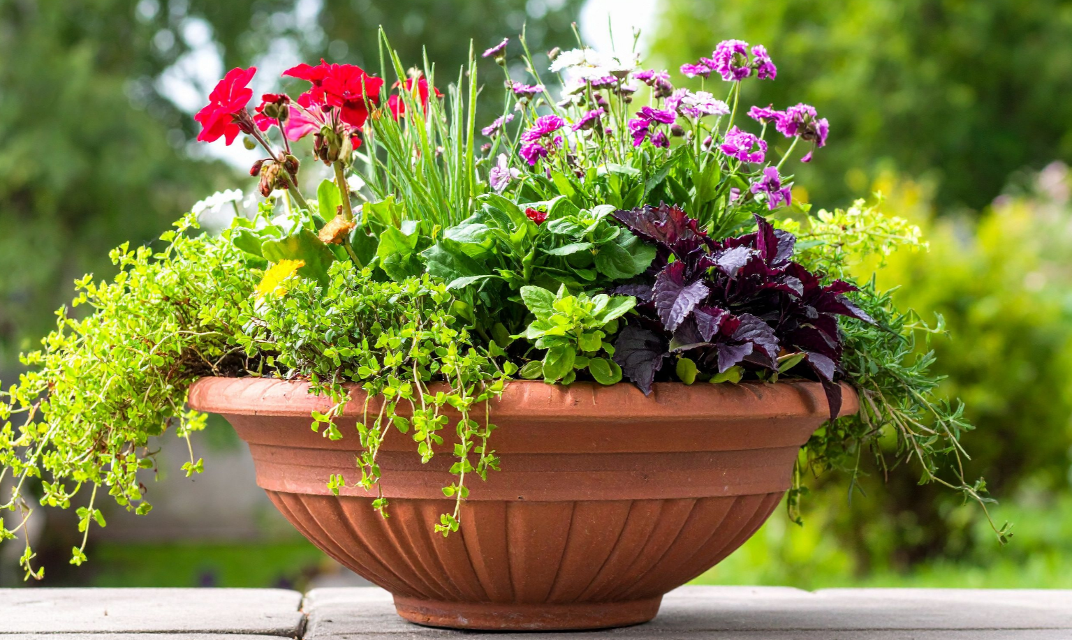 Seminar: Container Design & Demo