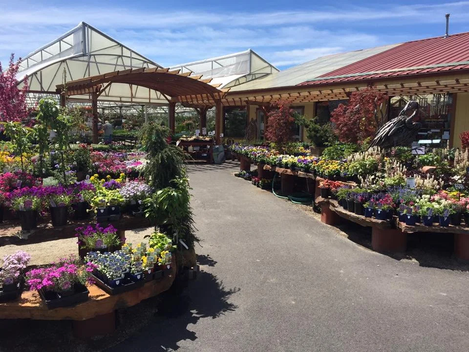 Caras Nursery Since 1896. Always Evolving.