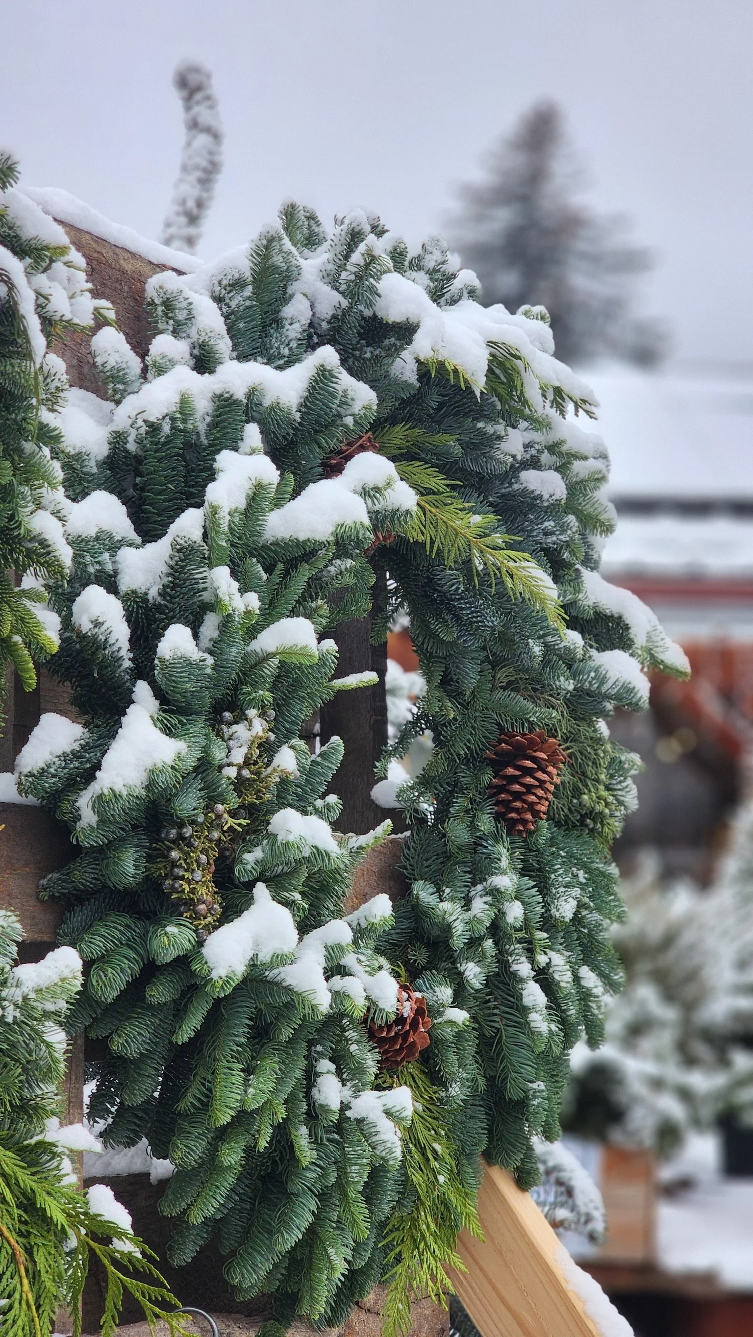 Close-up of a Christmas wreath decorated with pine branches, pine cones, and snow, hanging outdoors in a winter setting.