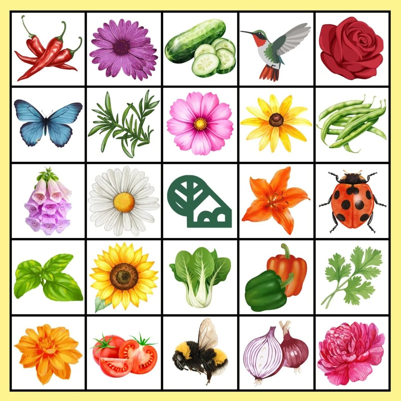 Summer Solstice Bingo