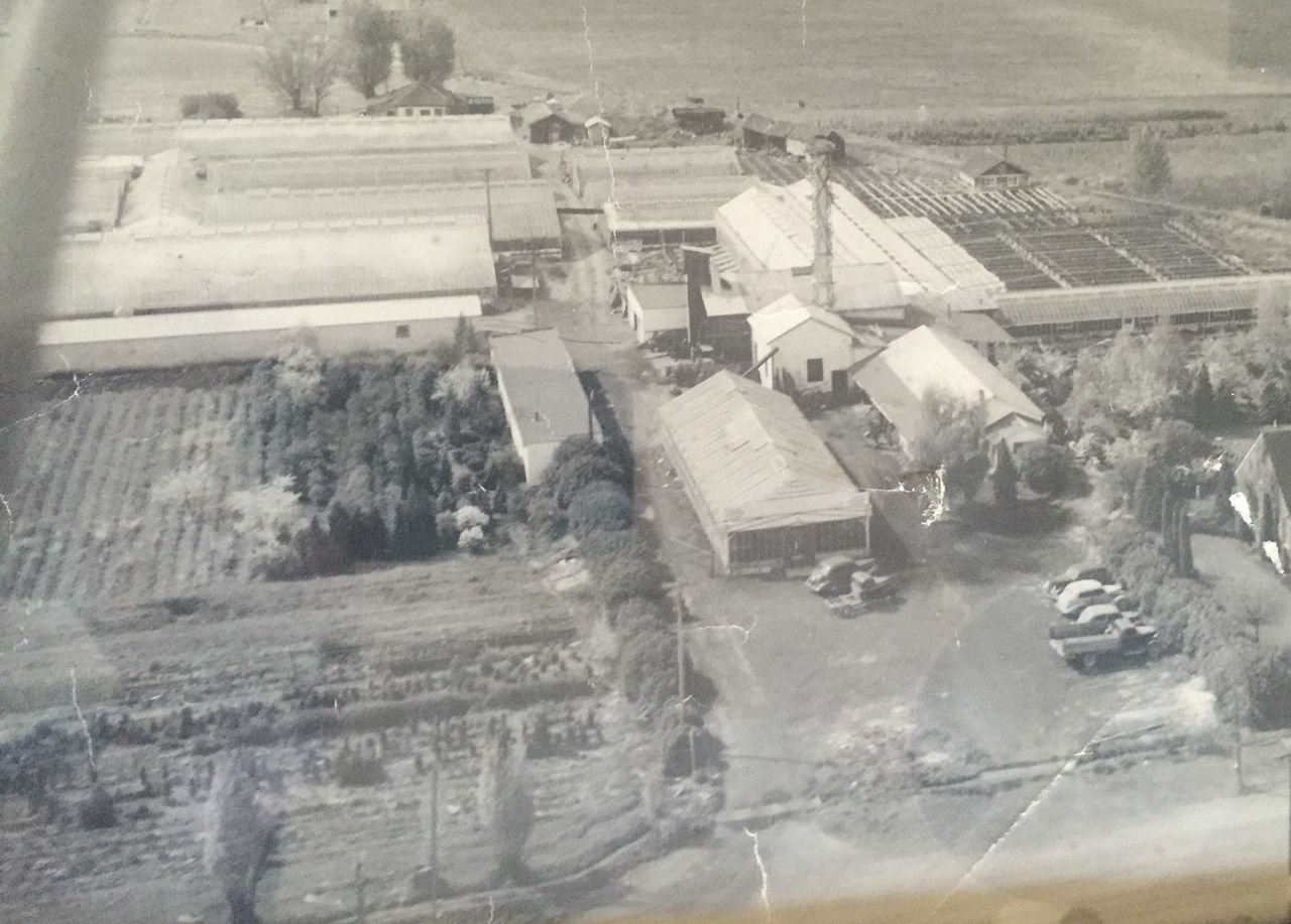 Historical black and white birds-eye view image of Caras Nursery