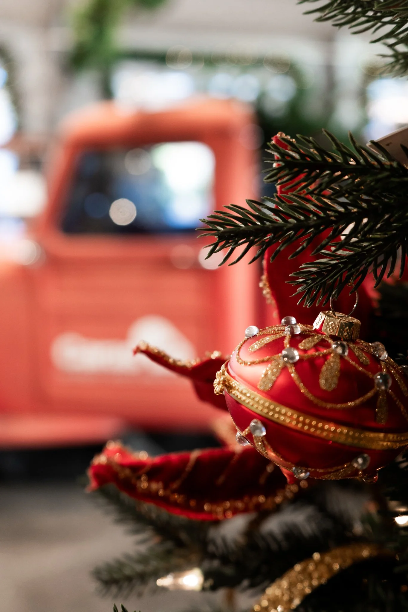 Group of vibrant green houseplants and colorful blooms