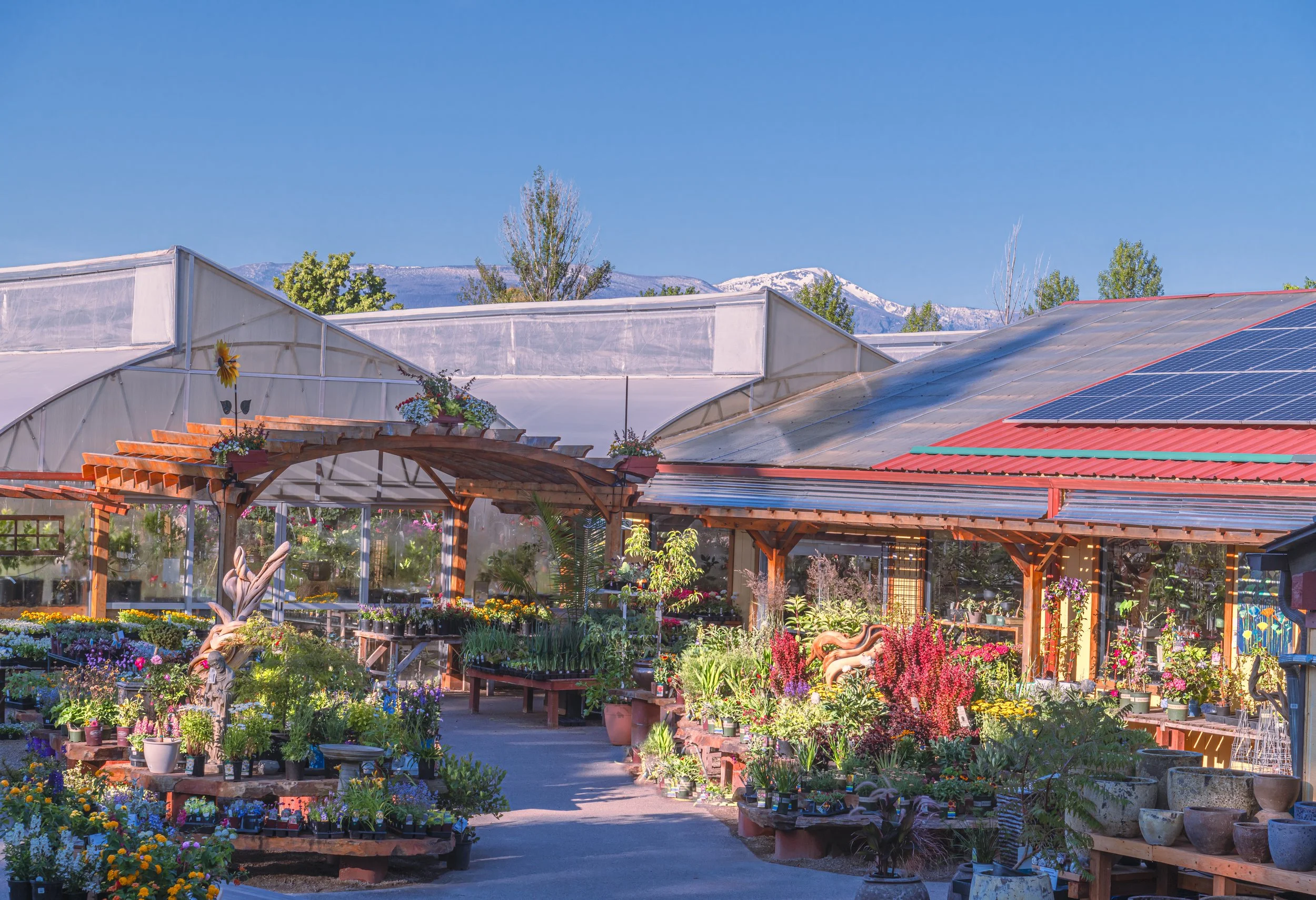 A garden center with potted plants and flowers, greenhouses in the background, and mountains in the distance under a clear blue sky.
