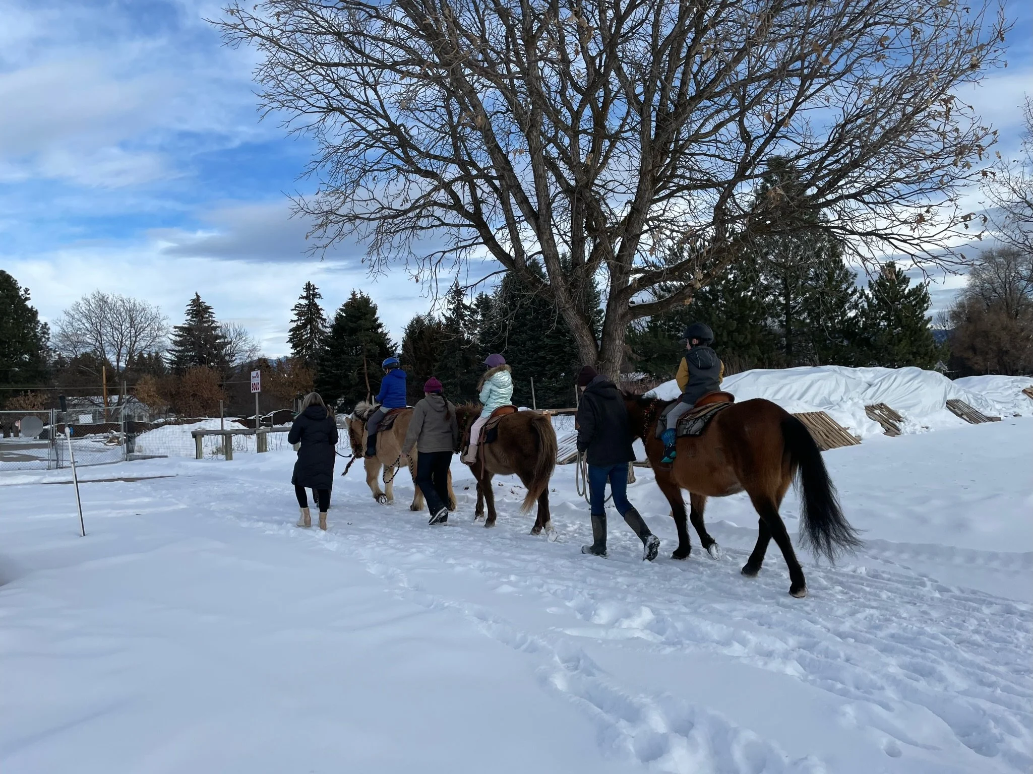 People riding horses on snow-covered trail, large leafless tree and evergreen trees in the background, snowy landscape with cloudy sky.