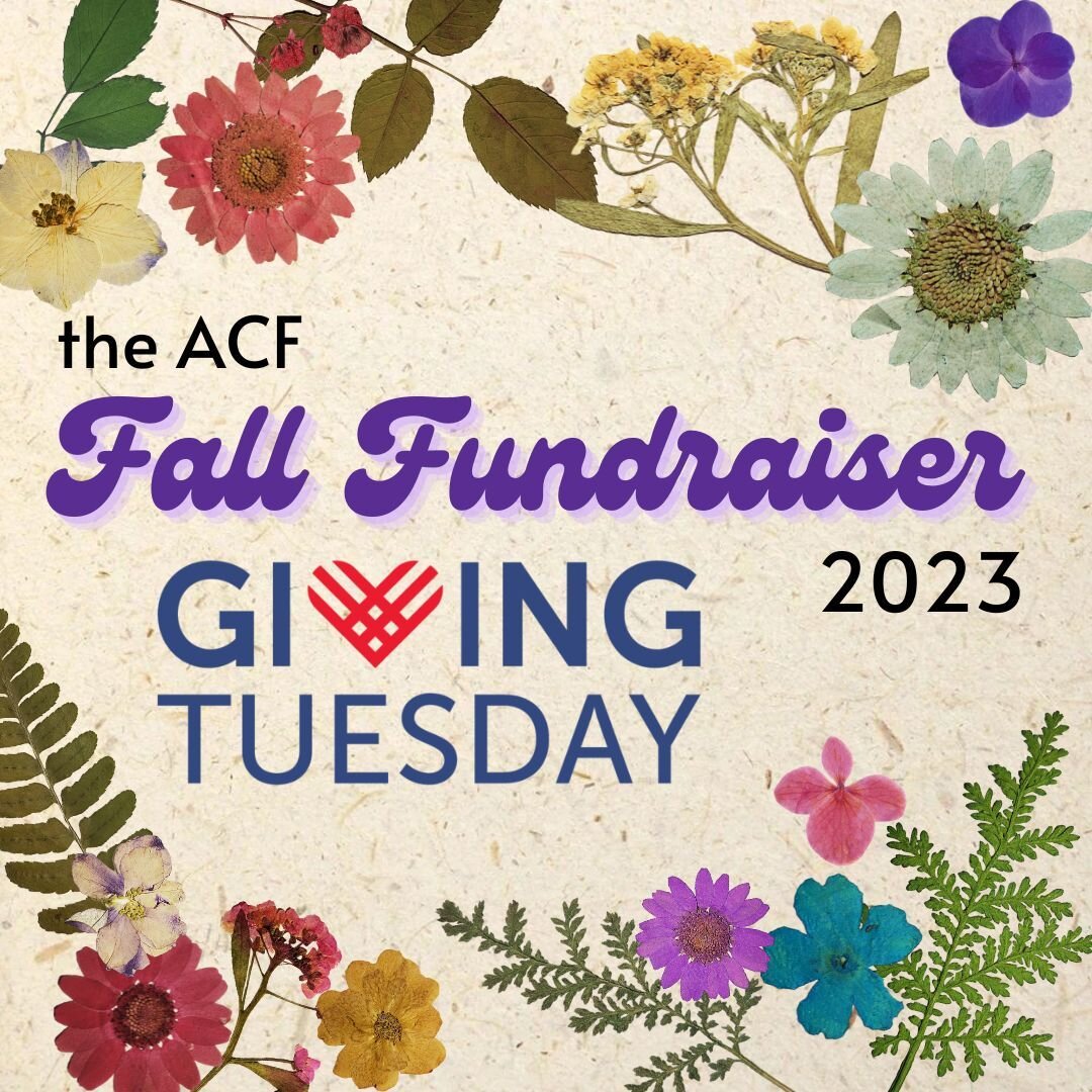Happy Giving Tuesday from ACF! On this international day of giving, please consider a donation to Antenna Cloud Farm. Thank you for building this musical, creative, liberatory, loving, radical corner of the universe with us!! 🌺🌈🌍

(Scroll through 