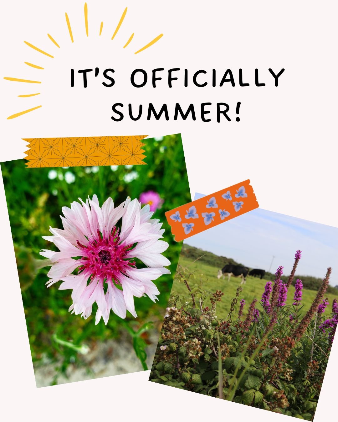 ☀️✨ Hello Summer!

The first day of summer always feels like a deep breath, longer days, golden light, and just a little more room to dream.

This season, I&rsquo;m holding space for slow mornings, creative bursts, iced coffee-fueled writing sprints,