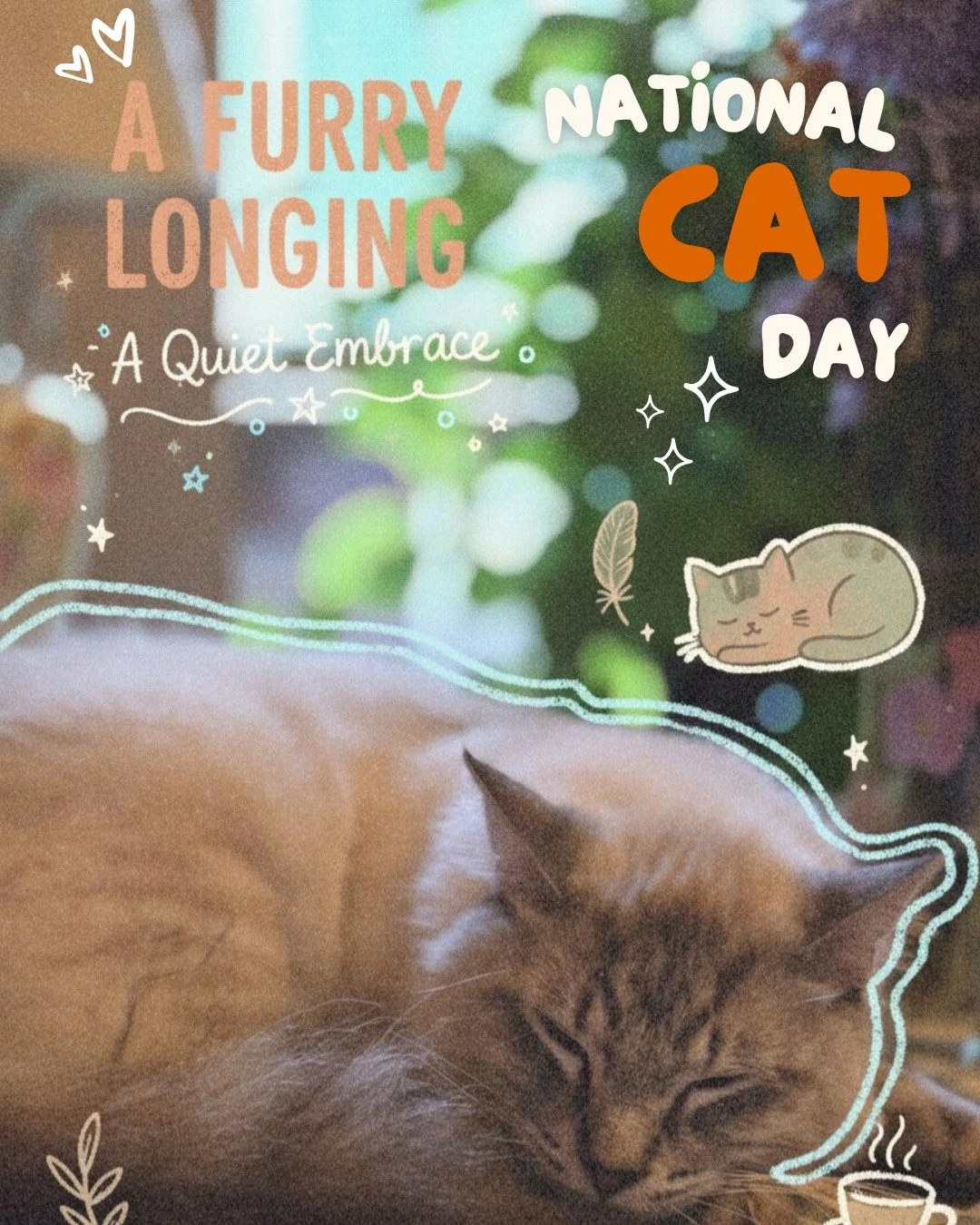 It's National Cat Day!

If you had asked me six months ago if I would ever have a cat as a pet, I would have laughed in your face and called you nuts. But here I am, a cat parent. 

Dumplin' came with the house that I recently moved into, and I could