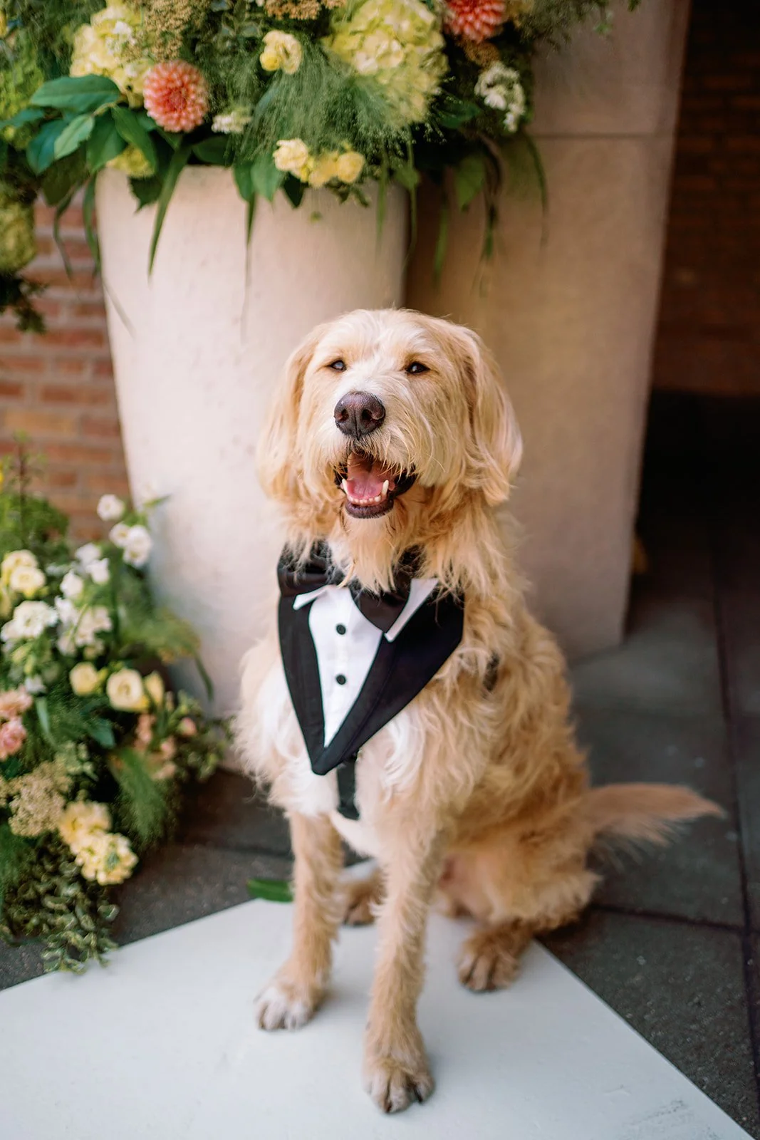 The Andresens-38.jpg