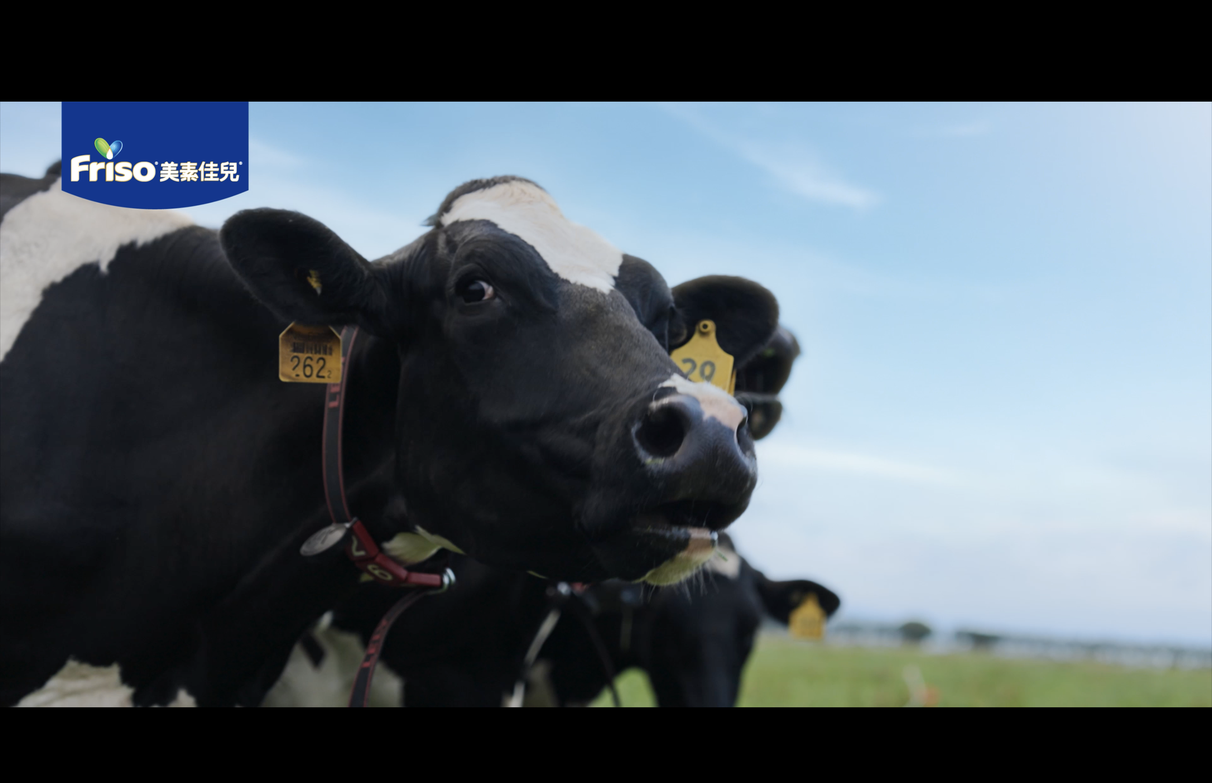 Screenshot 2025-07-30 at 5.33.01 PM.png