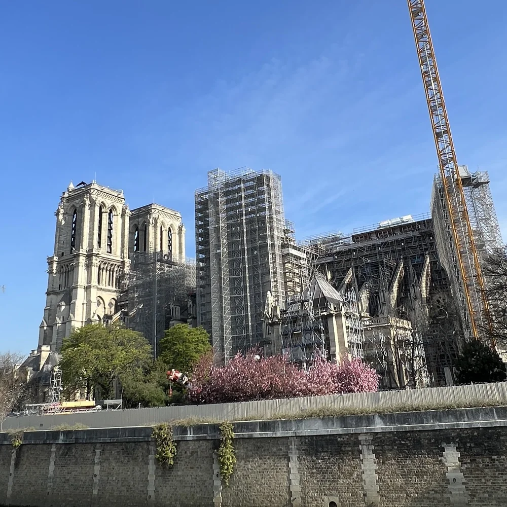 Notre Dame Restoration 