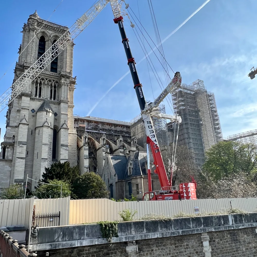 The cranes of Notre Dame